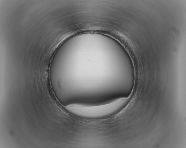 X0000114591361200911091248