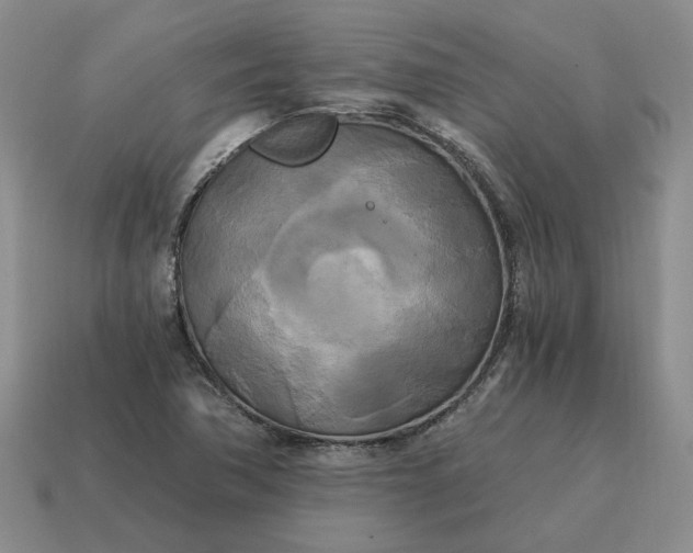 X0000114591362200911091248