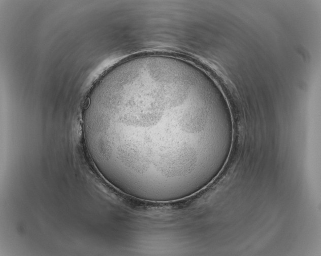 X0000114591363200911091248