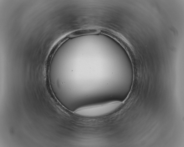 X0000114591364200911091248