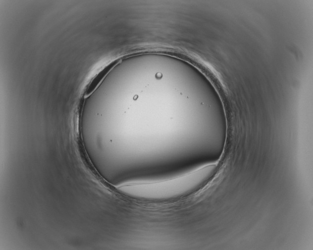 X0000114591365200911091248