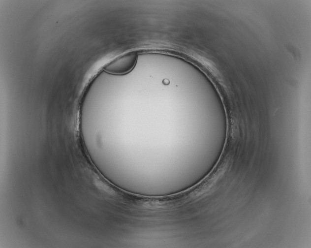 X0000114591366200911091248