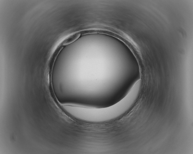 X0000114591368200911091248