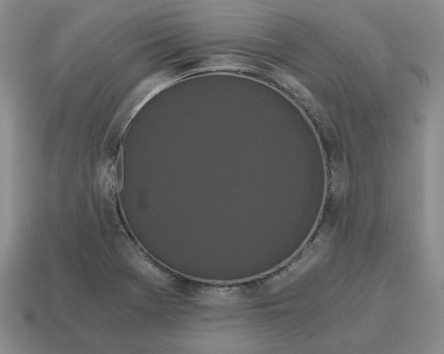 X0000114591369200911091248