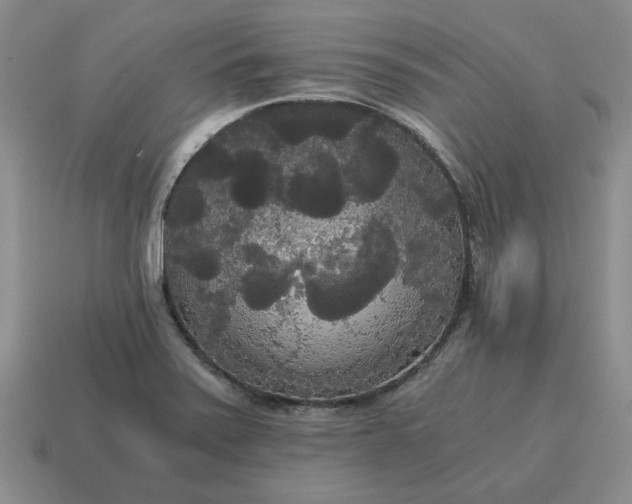 X0000114591371200911091248