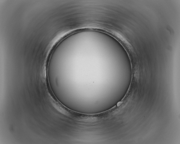 X0000114591372200911091248