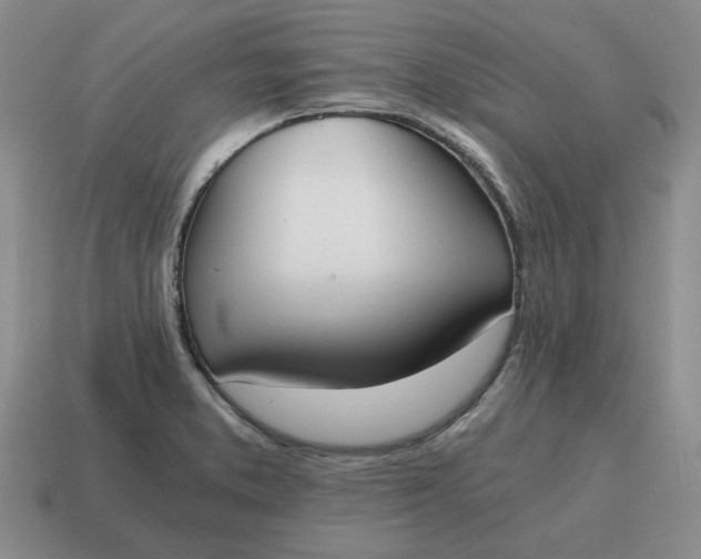 X0000114591373200911091248