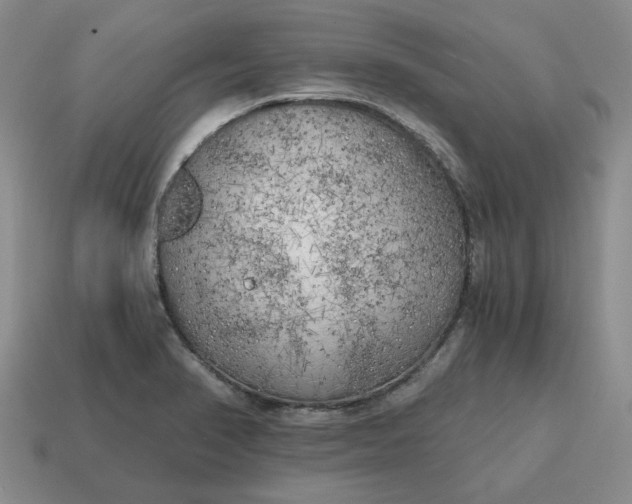 X0000114591374200911091248