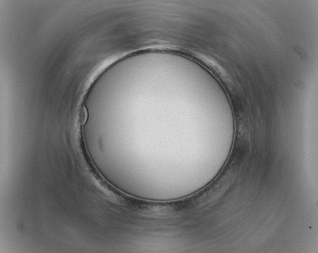 X0000114591375200911091248