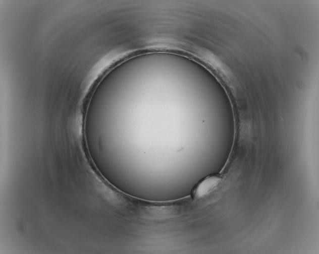 X0000114591376200911091248