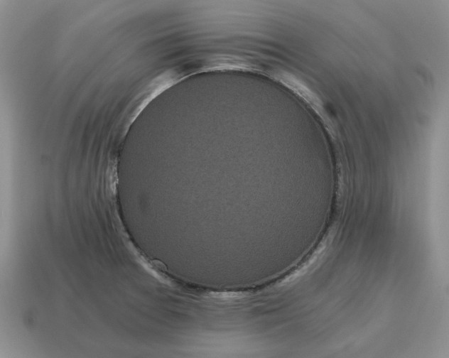 X0000114591377200911091247