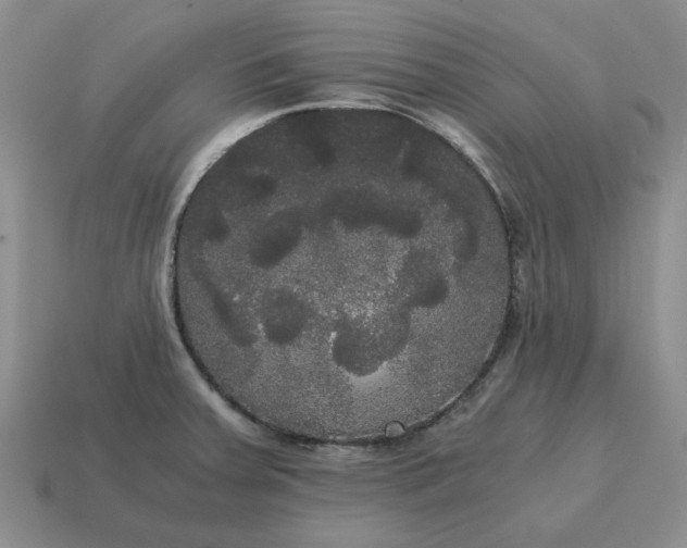 X0000114591379200911091247