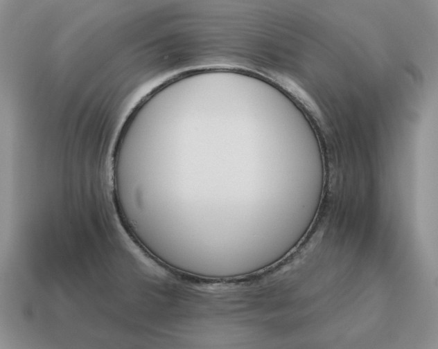 X0000114591380200911091247