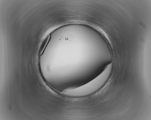 X0000114591381200911091247