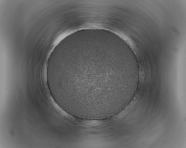 X0000114591382200911091247