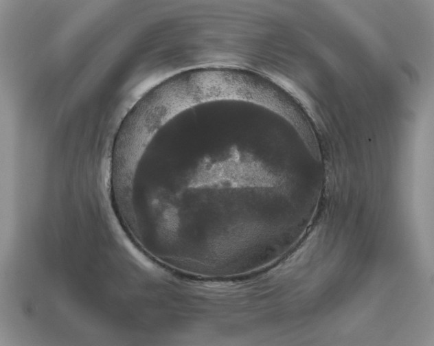 X0000114591383200911091247