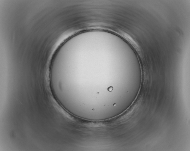 X0000114591384200911091247