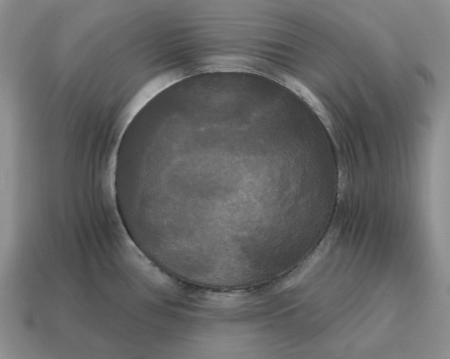 X0000114591386200911091247