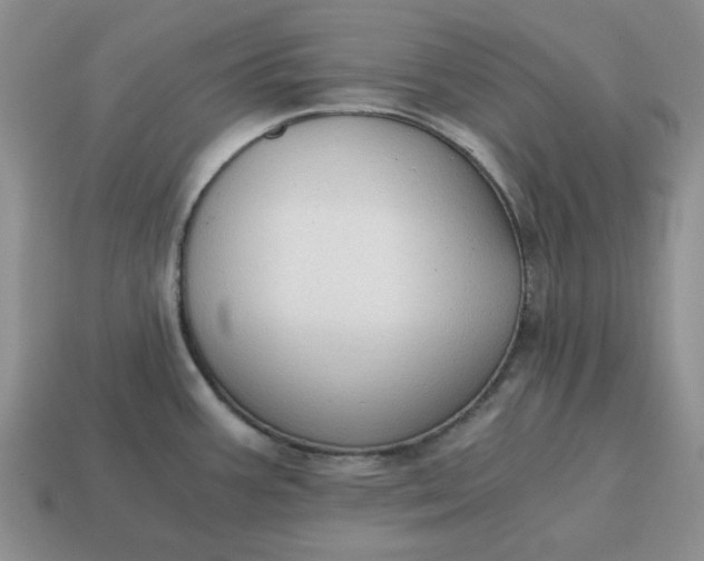 X0000114591387200911091247