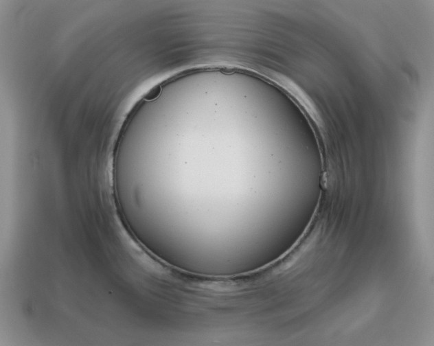 X0000114591388200911091247