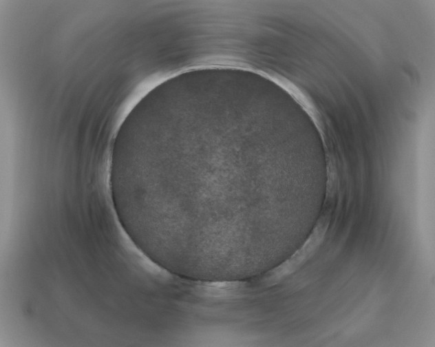 X0000114591390200911091247