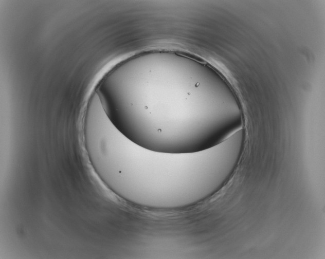 X0000114591392200911091247