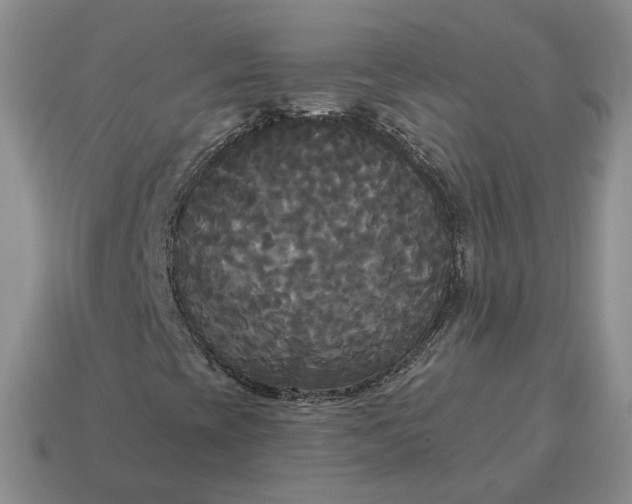 X0000114591393200911091247