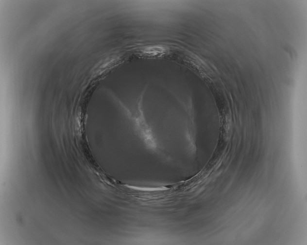 X0000114591394200911091247