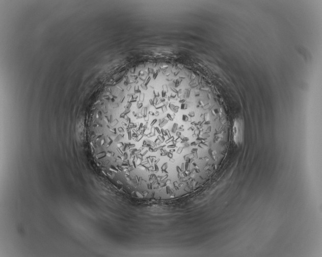 X0000114591395200911091247