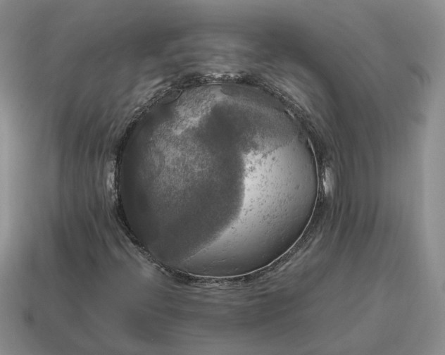 X0000114591396200911091247