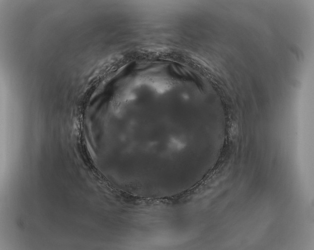 X0000114591397200911091247