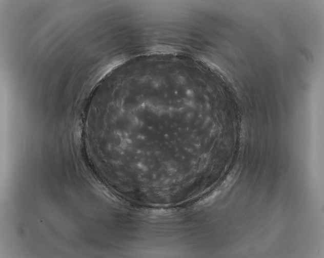 X0000114591401200911091247