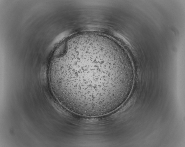 X0000114591403200911091247