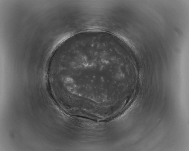 X0000114591405200911091247