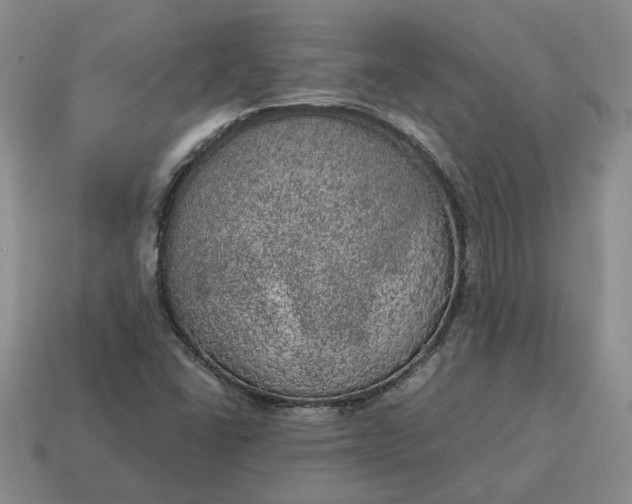 X0000114591406200911091247