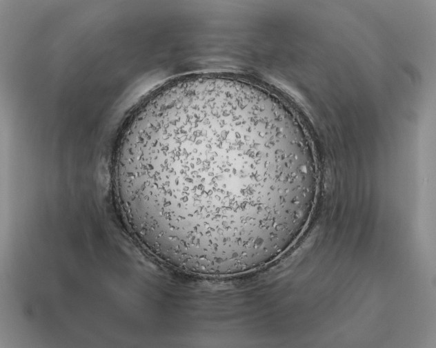 X0000114591407200911091247