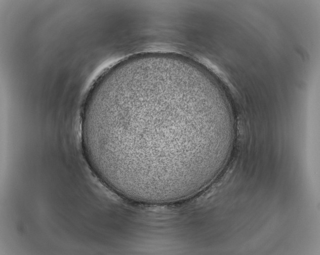 X0000114591408200911091247