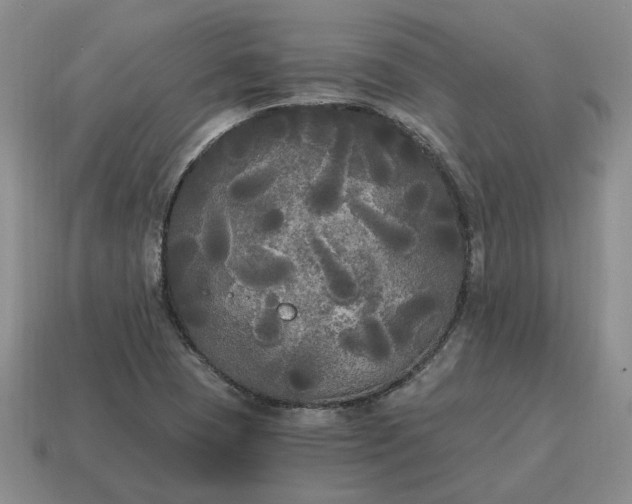 X0000114591409200911091247