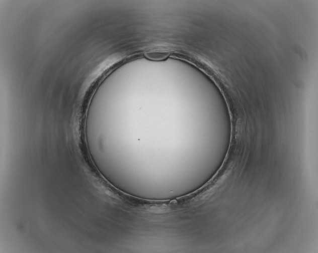 X0000114591410200911091247