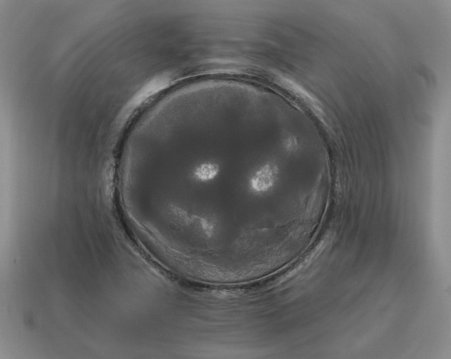 X0000114591411200911091247