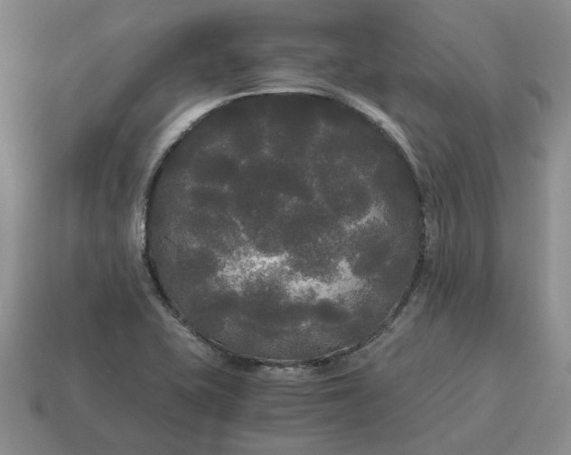 X0000114591415200911091247