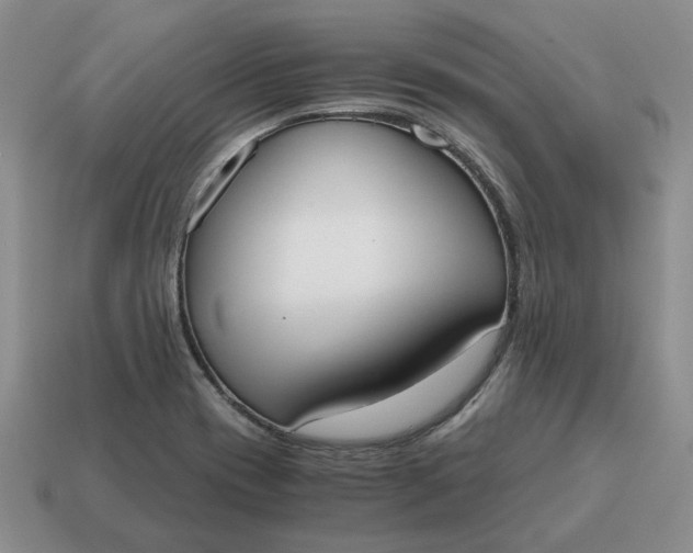 X0000114591417200911091247