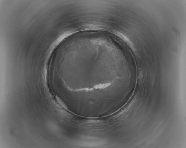 X0000114591419200911091247