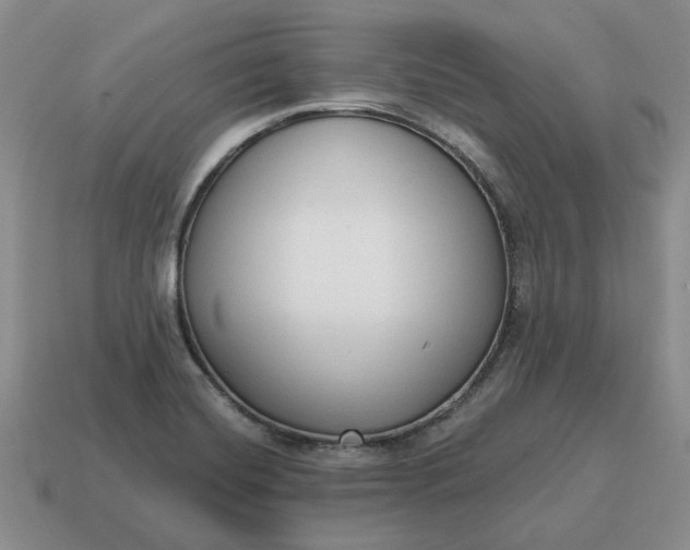 X0000114591420200911091247