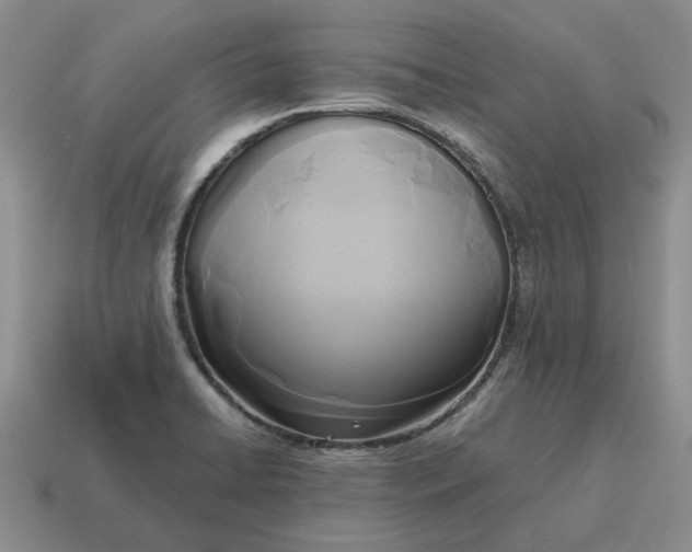 X0000114591422200911091247