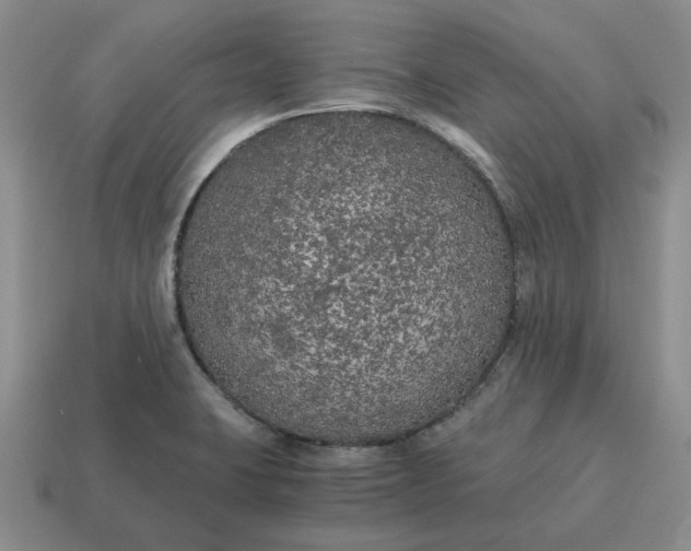 X0000114591423200911091247