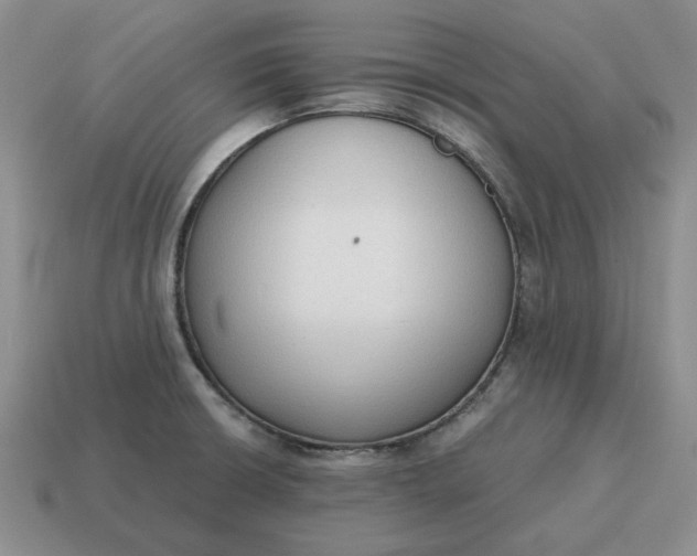 X0000114591426200911091247