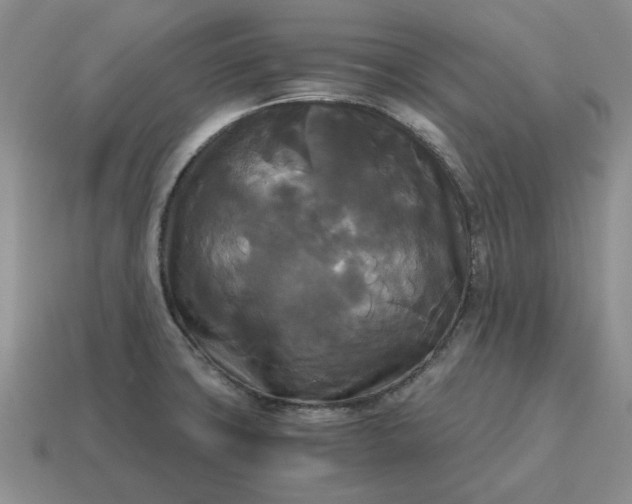 X0000114591427200911091247