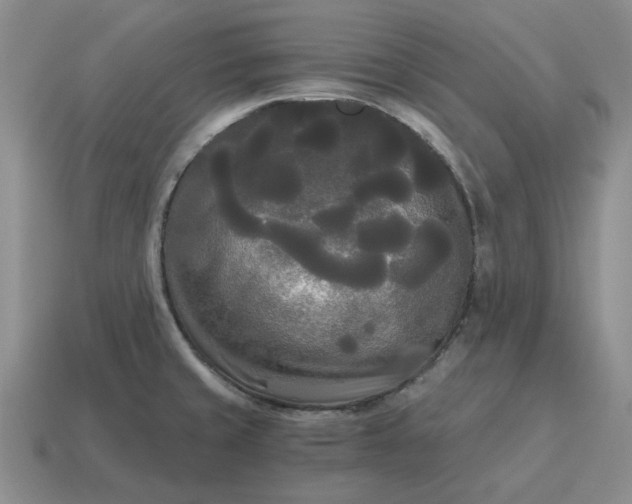 X0000114591429200911091247