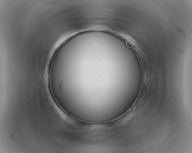 X0000114591430200911091247